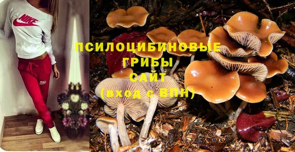 гашиш Абинск